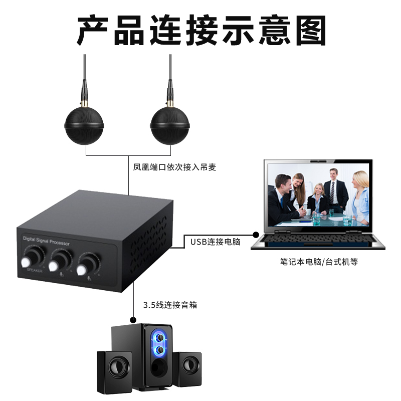 同三维T1002球型双吊麦